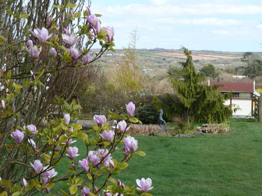 Saint Teath The White Cottage B&B מראה חיצוני תמונה